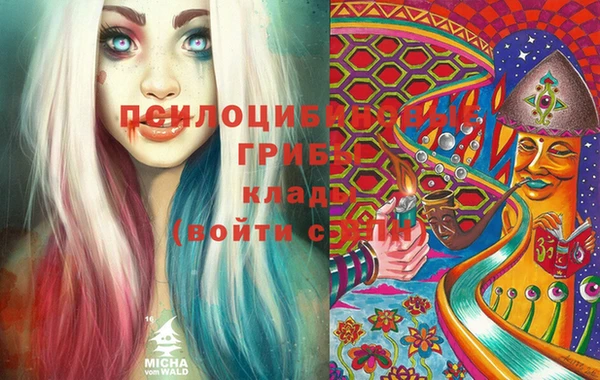 гидропоника Балахна