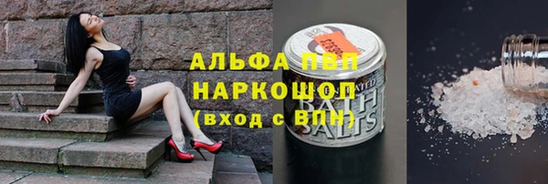 дживик Баксан