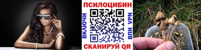 Псилоцибиновые грибы Psilocybe  кракен онион  Дигора 